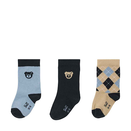 Шкарпетки, Dinosaur Special Day