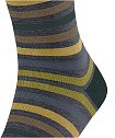 Шкарпетки, Tinted Stripe