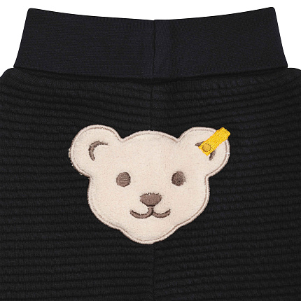 Штани, Year of the Teddy bear