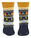 Шкарпетки Pumpkin Fair