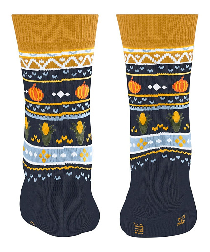 Шкарпетки Pumpkin Fair