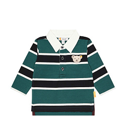 Поло, Year of the Teddy bear,  1/1