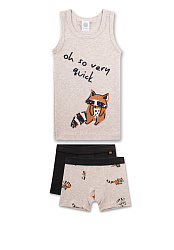 Комплект, Raccoon