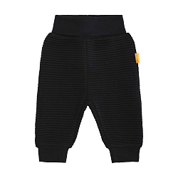 Штаны, Year of the Teddy bear