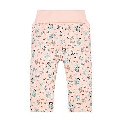 Легінси, Bird’s Twittering