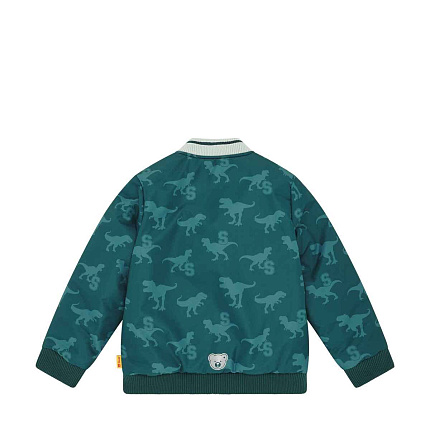 Куртка двостороння, Dinosaur