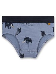 Трусы-брифы