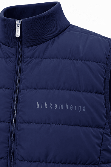 Жилет