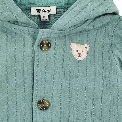 Костюм, Dinosaur