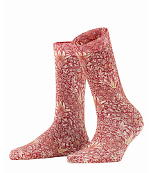 Шкарпетки, Snakeshead