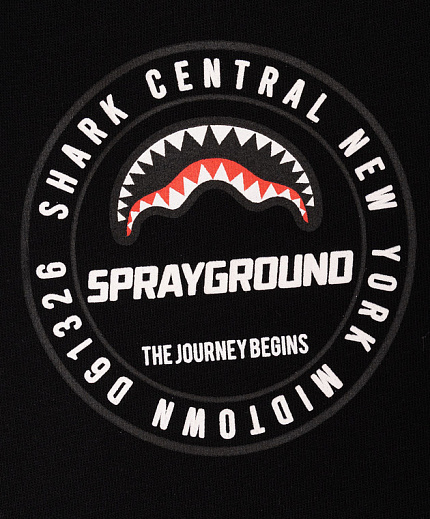 Штаны, Basic Sprayground