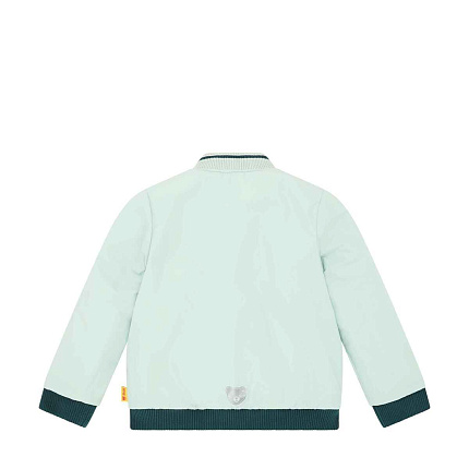 Куртка двостороння, Dinosaur