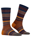 Шкарпетки, Stripe