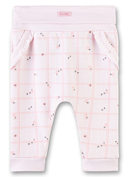 Штани, Cute Chipmunks