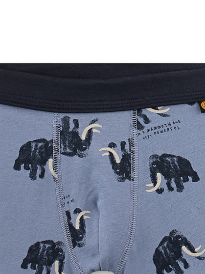 Труси-шорти