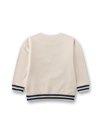 Світшот, Team 5