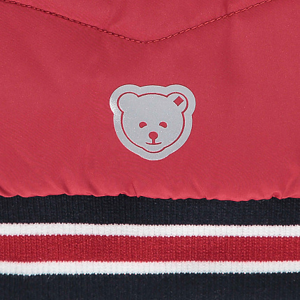Куртка, Bear to School