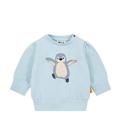 Свитшот, Nordicland