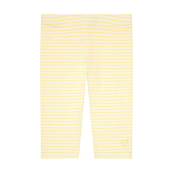 Легінси, Venice Beach