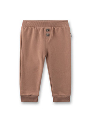 Штаны, Dachshund