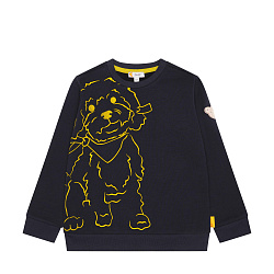 Свитшот, Pawerful