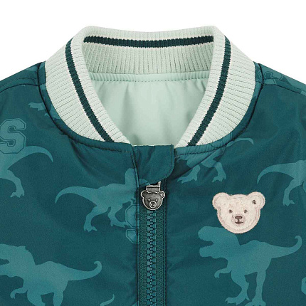 Куртка двостороння, Dinosaur