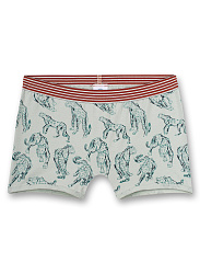 Труси-шорти, Leo Flower