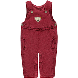 Штаны с нагрудником, My little bird