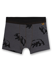 Труси-шорти, Bear