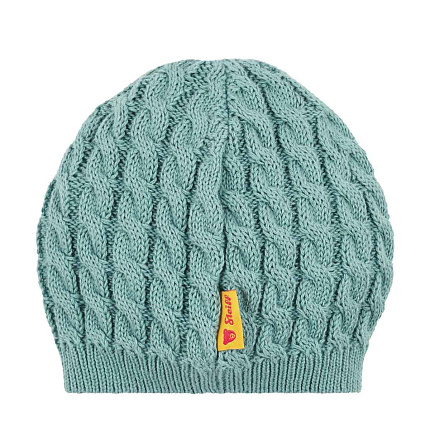 Шапка, Dinosaur