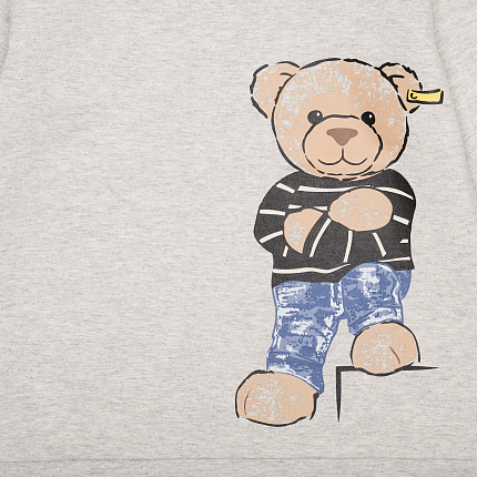 Світшот, Year of the Teddy bear