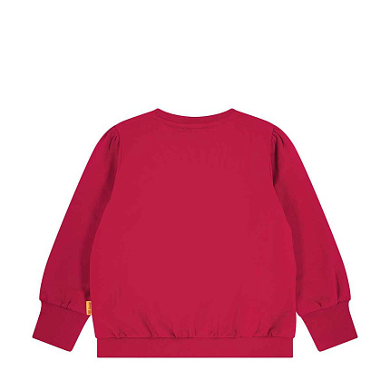 Свитшот, Celebration