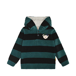 Світшот, Year of the Teddy bear