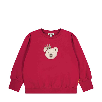 Свитшот, Celebration