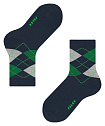 Шкарпетки, Classic Argyle