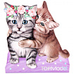 Блокнот для заміток, Котик і Собачка, Top Model