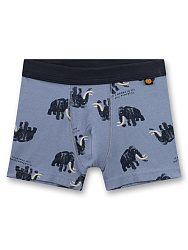 Труси-шорти