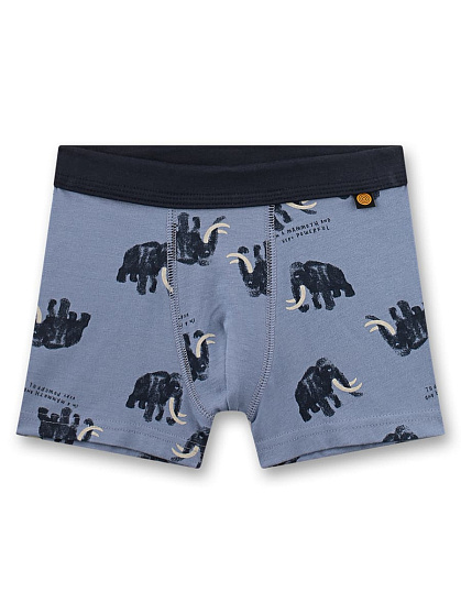 Труси-шорти