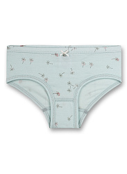 Труси-сліпи, Shiny dragonfly