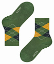 Шкарпетки, Classic Argyle