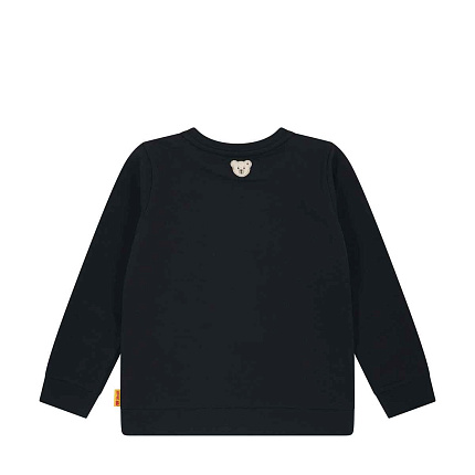 Свитшот, Celebration