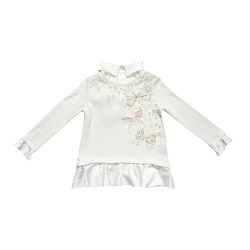 Світшот, Dada