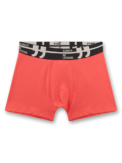 Труси-боксери, Green Style, 2 шт.