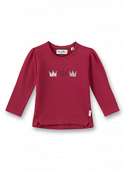 Світшот, Beautiful Swan