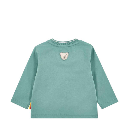 Футболка, Dinosaur, 1/1