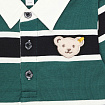 Поло, Year of the Teddy bear,  1/1