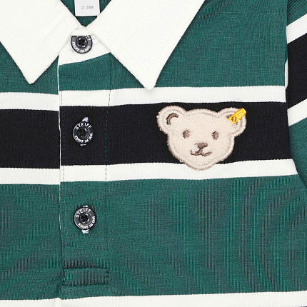 Поло, Year of the Teddy bear,  1/1
