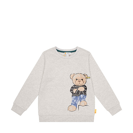 Світшот, Year of the Teddy bear