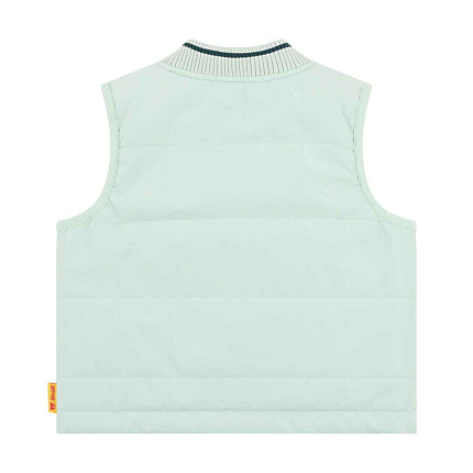 Жилет, Dinosaur