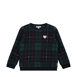 Свитшот флисовый, Celebration